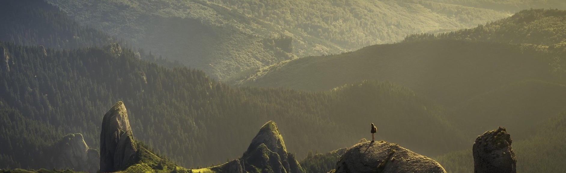 Veridian AI Insights & Thought Leadership